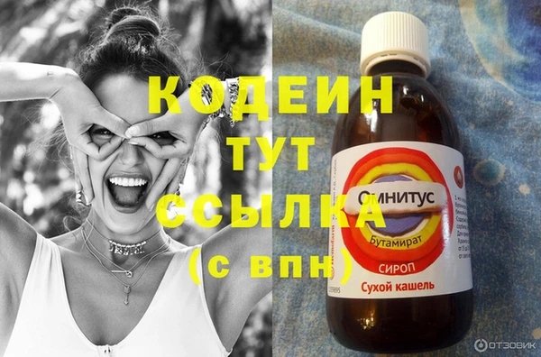 стаф Верея